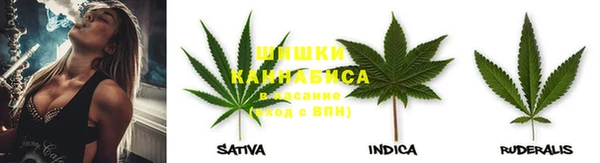 прущая мука Михайлов