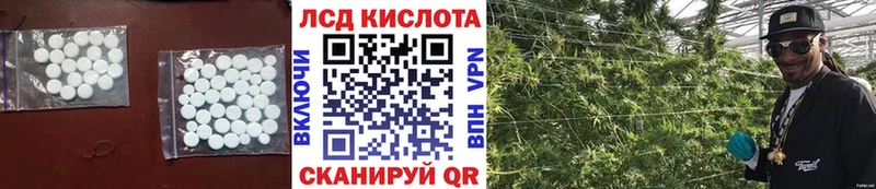 ЛСД экстази кислота где можно купить kraken как зайти Берёзовка